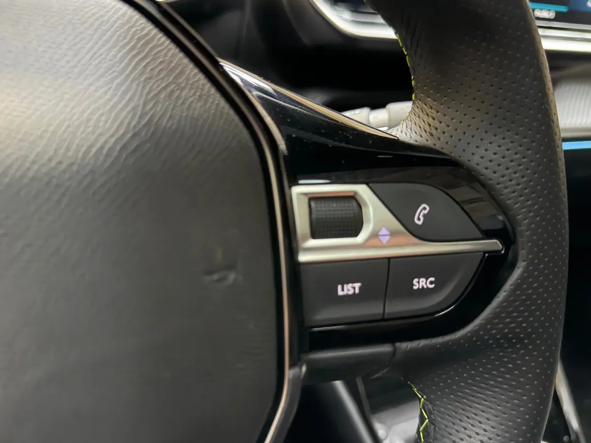 EV GT 350 50 kWh 17"LM, Panorama, Camera, Cruise Control, Led dagrijverlichting