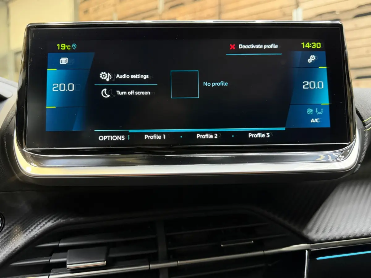 EV GT 350 50 kWh 17"LM, Panorama, Camera, Cruise Control, Led dagrijverlichting