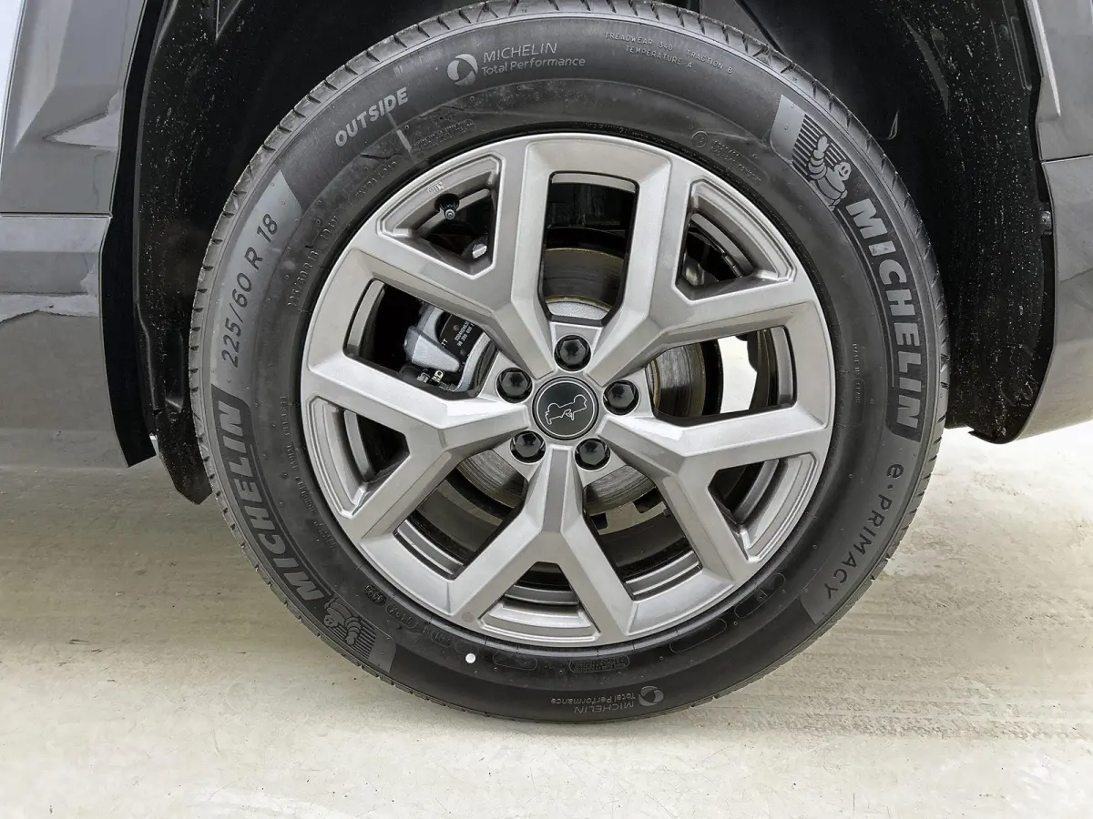 1.2 145pk e-Hybrid Firs Edition Automaat | Schuif-/Kanteldak | Elektrisch Verstelb. Bestuurdersstoel | 360 Camera | Navigatie | Adaptieve Cruise Control | Elektrische Klep |