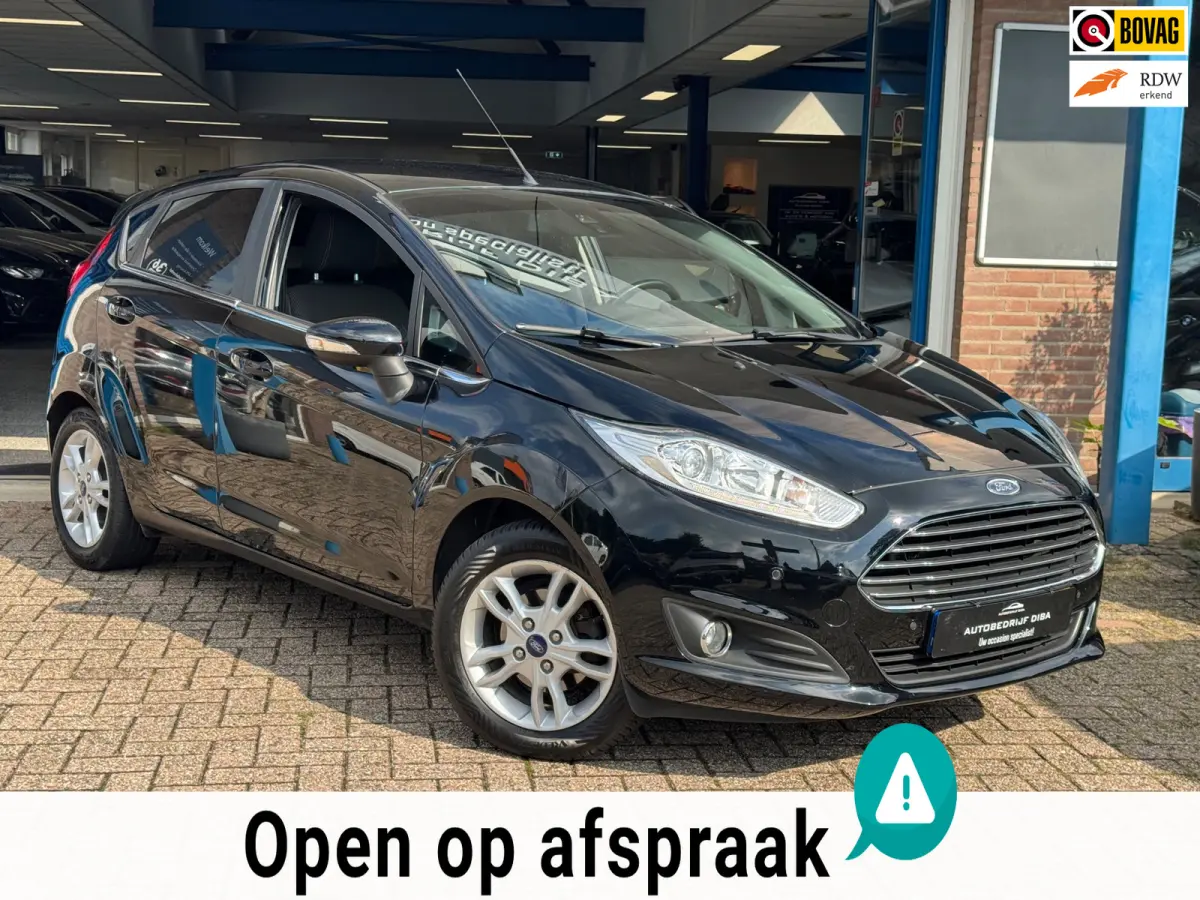 1.0 EcoBoost Titanium 2020 AUT AIRCO NAVI NAP!