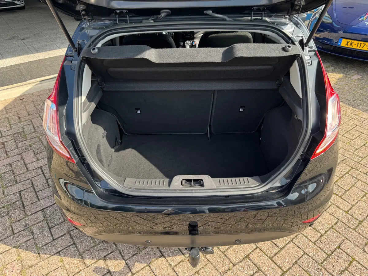 1.0 EcoBoost Titanium 2020 AUT AIRCO NAVI NAP!