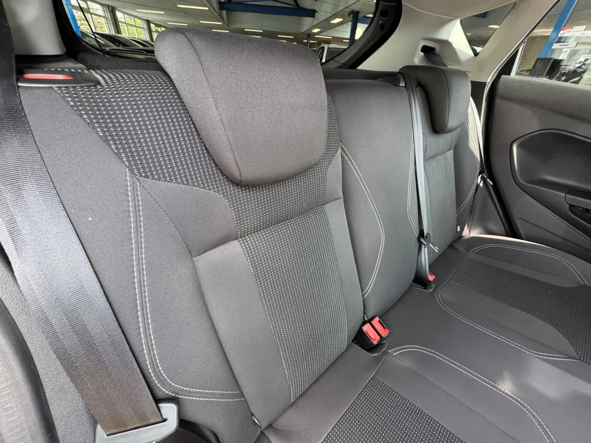1.0 EcoBoost Titanium 2020 AUT AIRCO NAVI NAP!