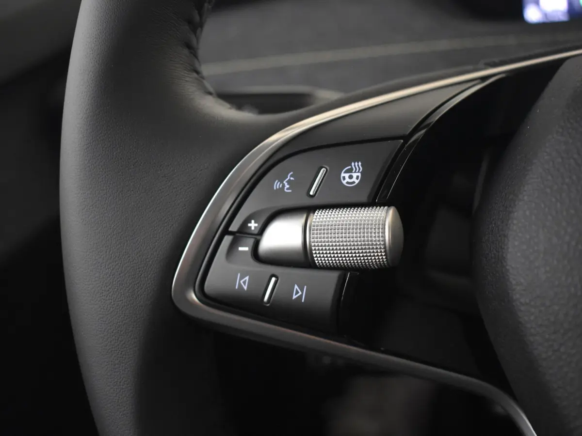 Business Edition | Cruise control met speedlimiter | Driving mode select | LED interieurverlichting inclusief sfeerverlichting