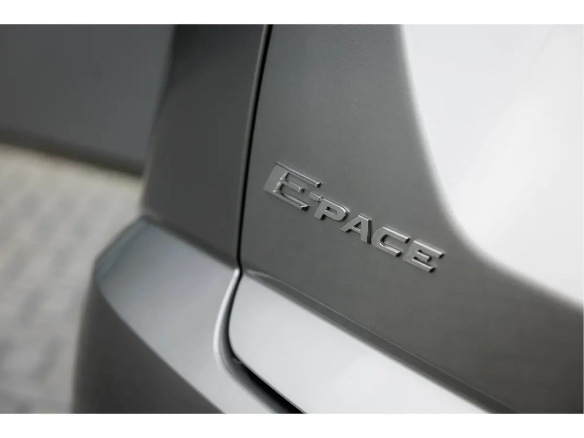 P250 AWD R-Dynamic S | Panoramadak | Elektr achterklep | Black Pack | Verwarmbare voorstoelen |