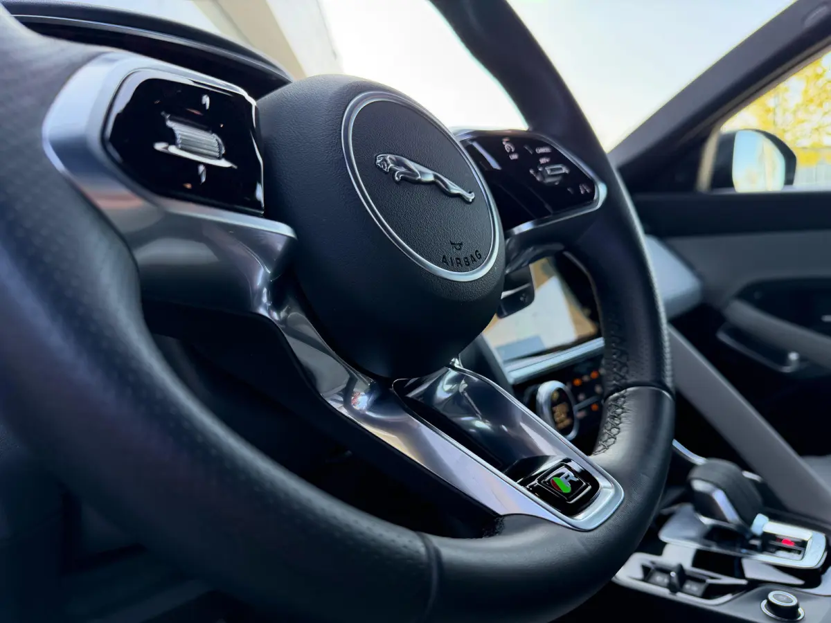 P300e AWD R-Dynamic SE | Stoelverwarming voor | 19 Inch | Adaptieve Cruise Control | Meridian