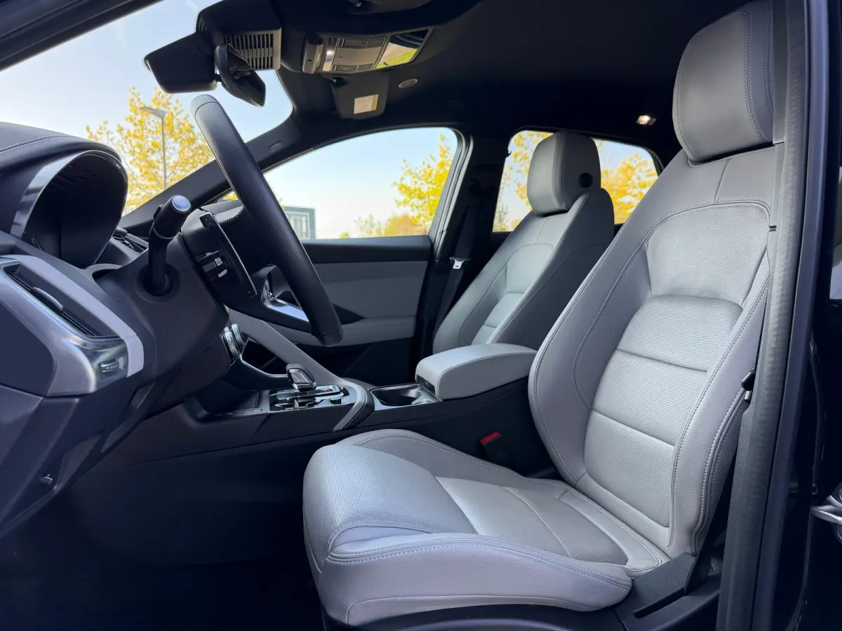 P300e AWD R-Dynamic SE | Stoelverwarming voor | 19 Inch | Adaptieve Cruise Control | Meridian