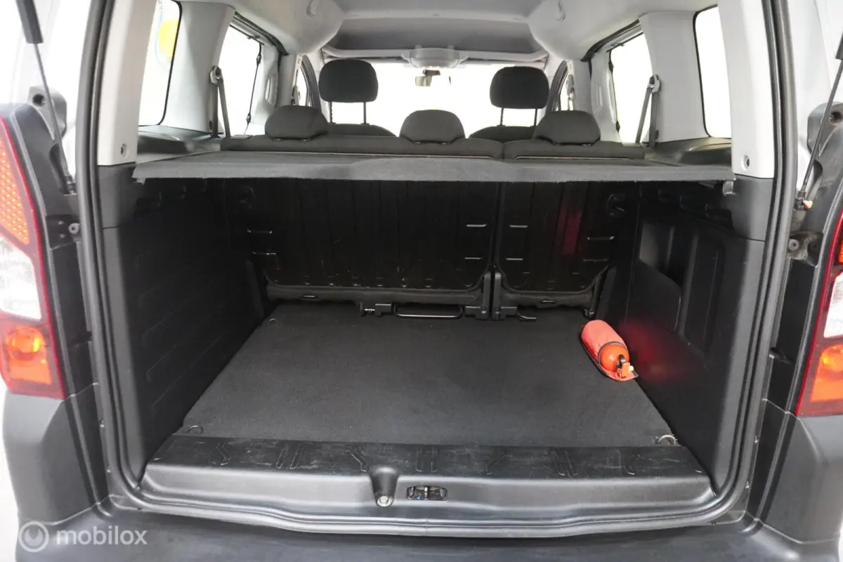 1.2 PureTech Active