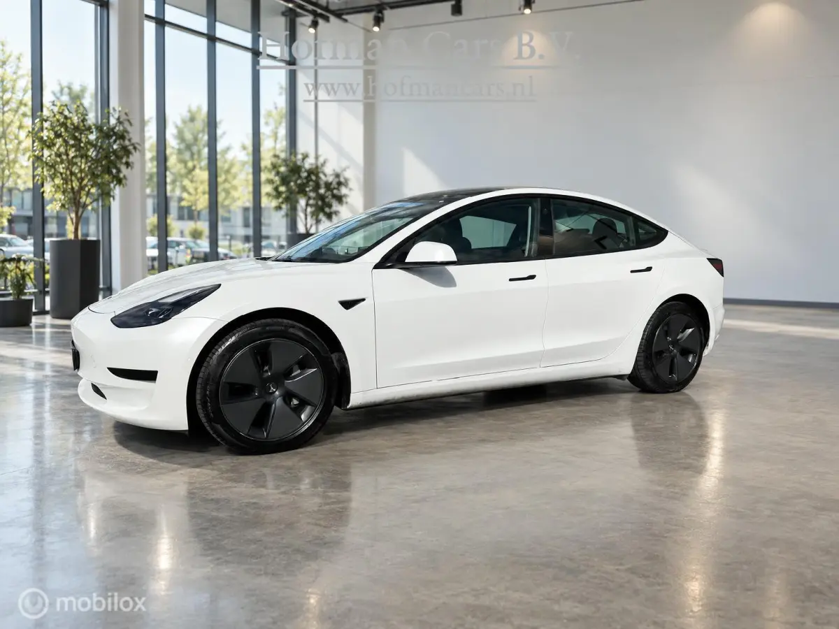 RWD Plus 60kWh LFP | Trekhaak 1.000kg | Pearl White | 09/2021