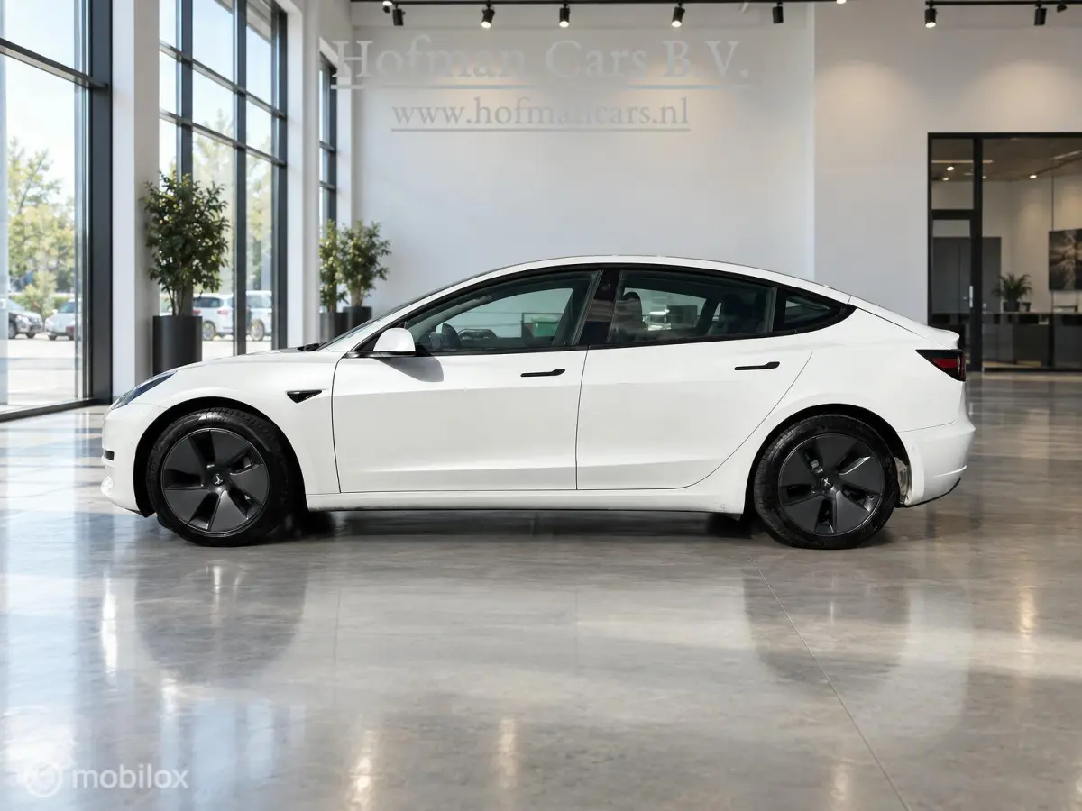 RWD Plus 60kWh LFP | Trekhaak 1.000kg | Pearl White | 09/2021
