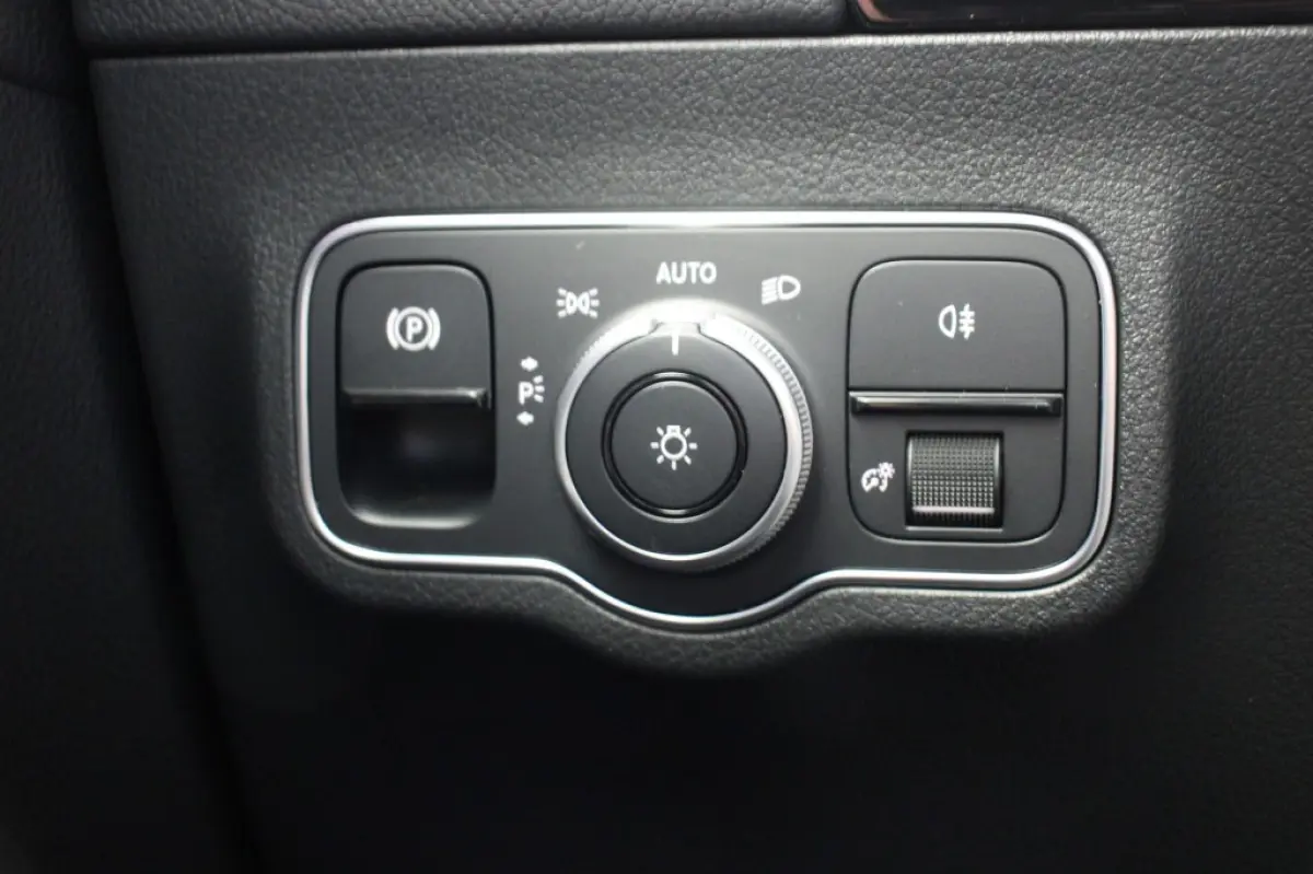 250 Business Solution Luxury 67 kWh - Navi, Camera, Adapt. Cruise, Stoelverw. SOH 95,85%