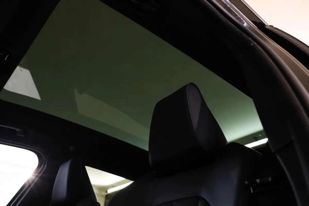 30e xDrive M-Sport|Pano|Leder|Maxton|22''|Trekhaak|
