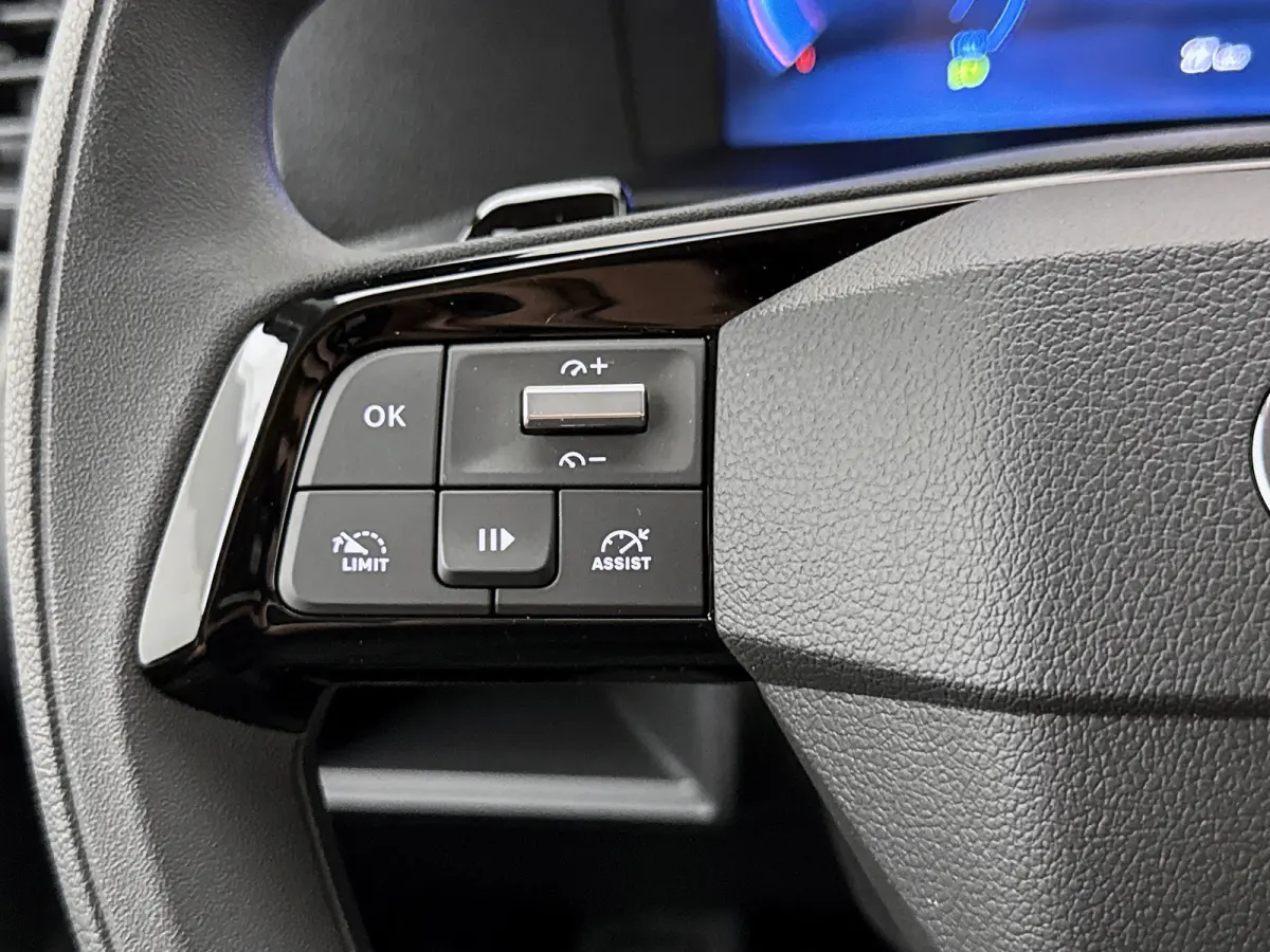 Worker Comfort Standard Range L2 50 kWh Nieuw 230km WLTP Carplay Cruise control 100% elektrisch