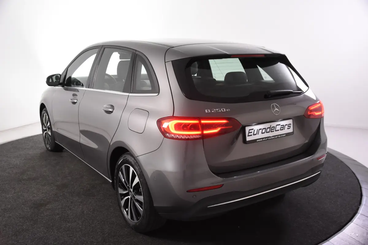 250 e Business *1ste Eigenaar*Leer*Stoelverwarming*Camera*