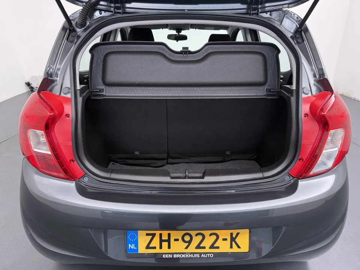 1.0 ecoFLEX 120 Jaar Edition | Airco | Bluetooth telefoonvoorbereiding | Centrale deurvergrendeling met afstandsbediening