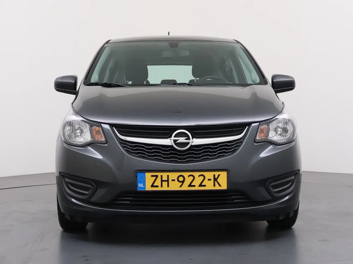 1.0 ecoFLEX 120 Jaar Edition | Airco | Bluetooth telefoonvoorbereiding | Centrale deurvergrendeling met afstandsbediening
