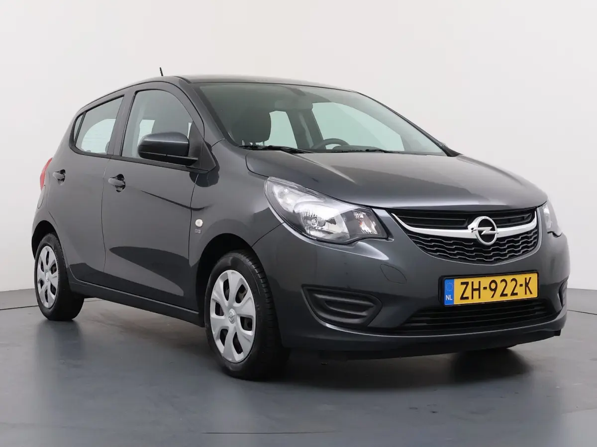 1.0 ecoFLEX 120 Jaar Edition | Airco | Bluetooth telefoonvoorbereiding | Centrale deurvergrendeling met afstandsbediening