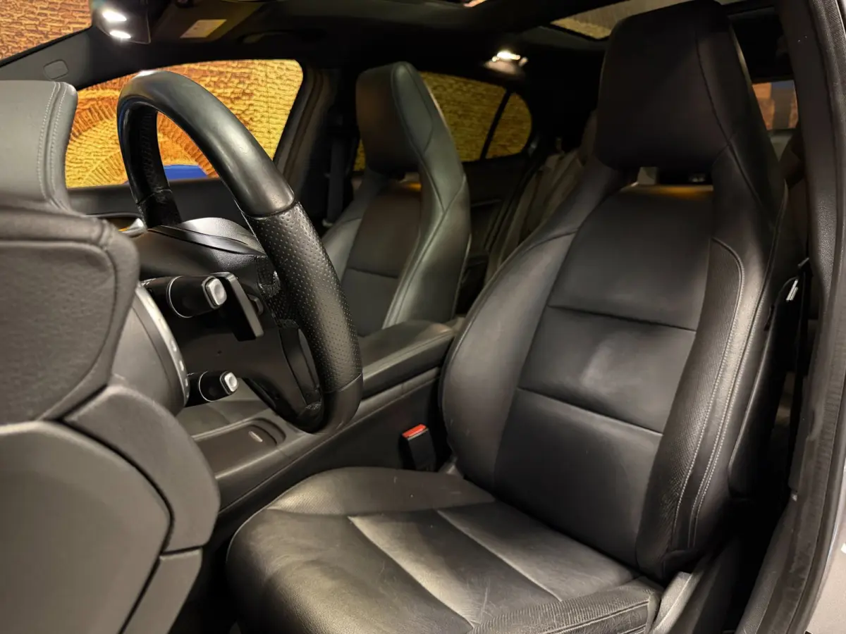 250 4Matic Aut Panodak Leer Camera