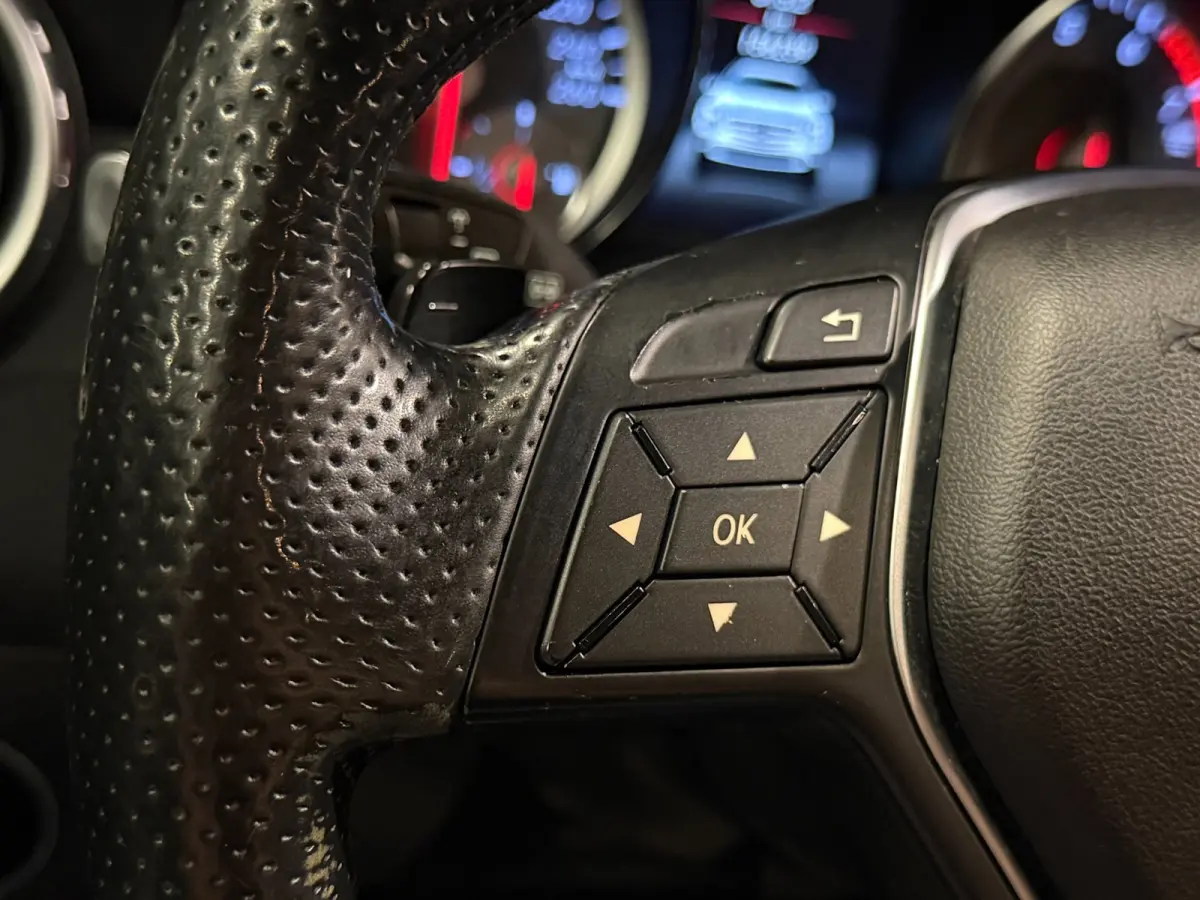 250 4Matic Aut Panodak Leer Camera