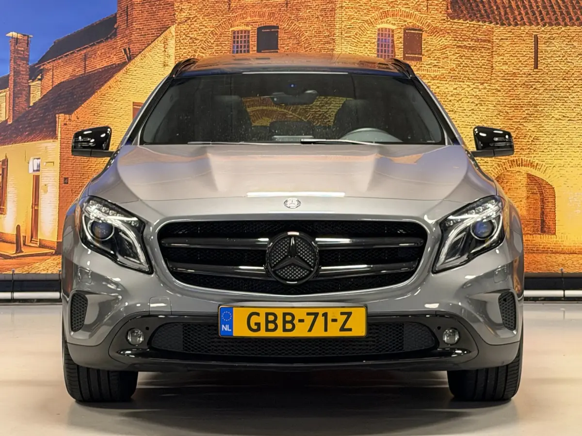 250 4Matic Aut Panodak Leer Camera