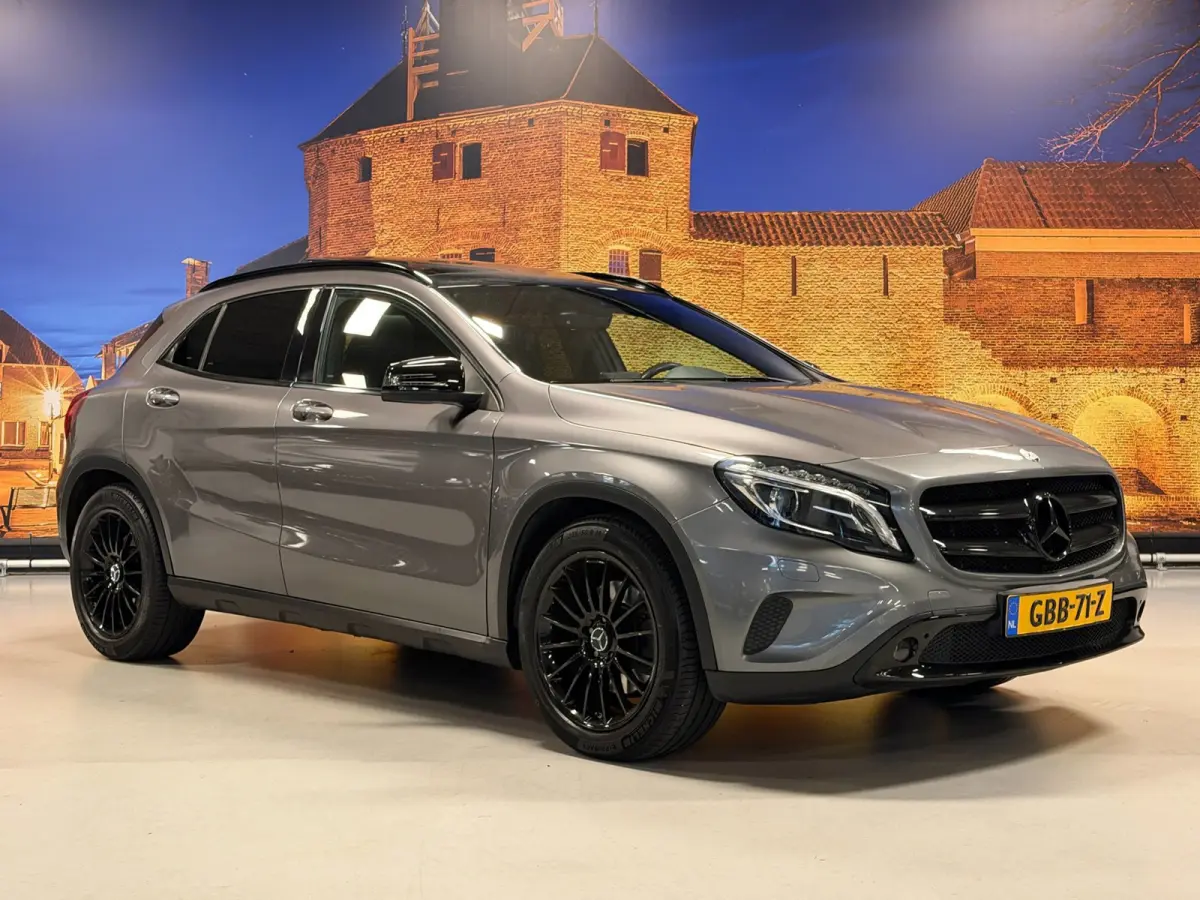 250 4Matic Aut Panodak Leer Camera