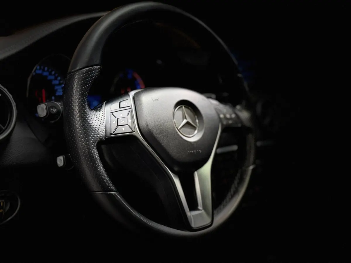 250 4Matic Aut Panodak Leer Camera