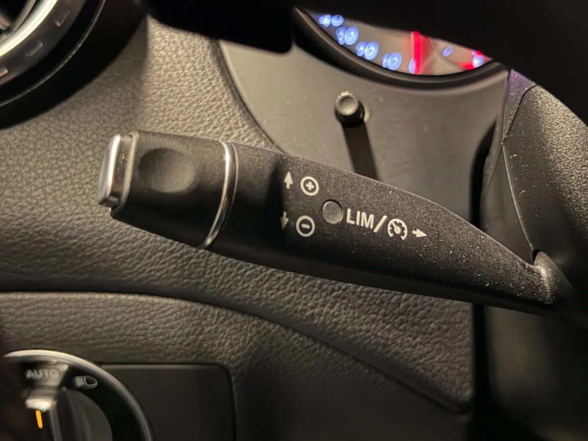 250 4Matic Aut Panodak Leer Camera