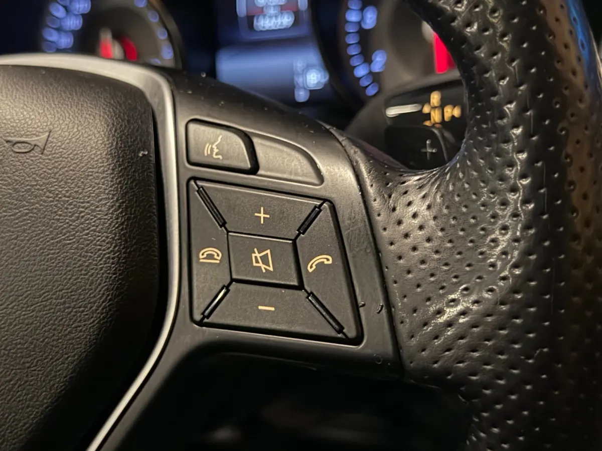 250 4Matic Aut Panodak Leer Camera