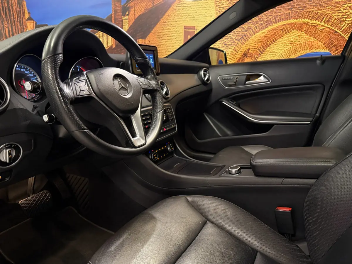 250 4Matic Aut Panodak Leer Camera