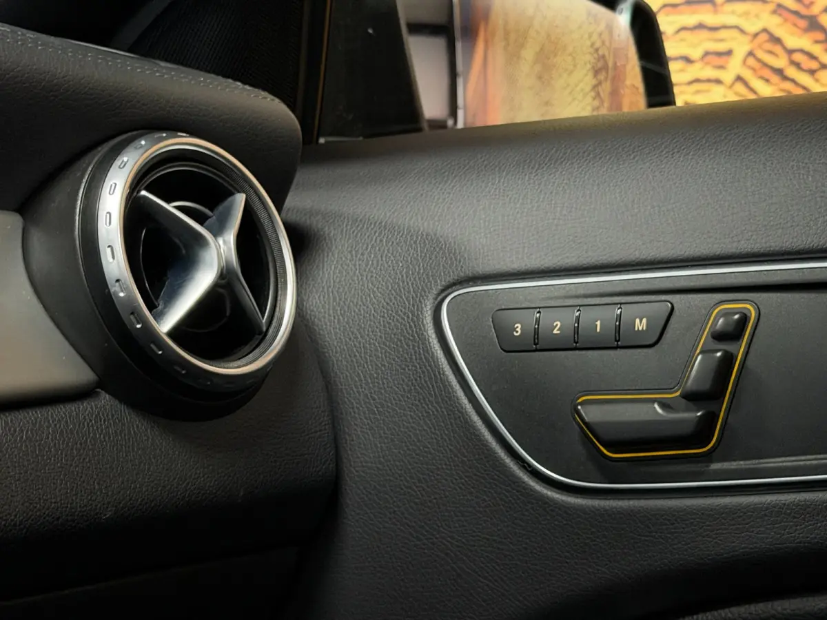 250 4Matic Aut Panodak Leer Camera