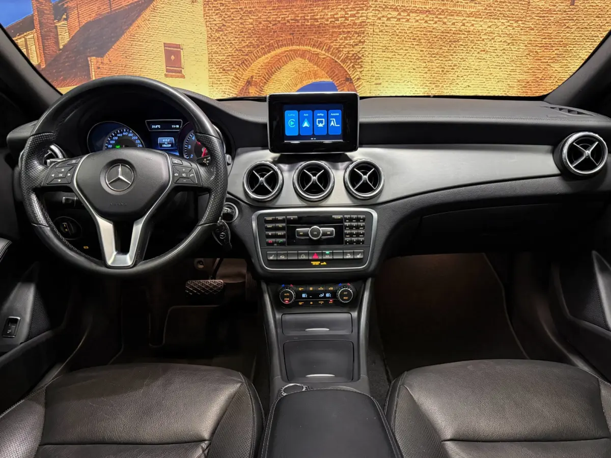 250 4Matic Aut Panodak Leer Camera