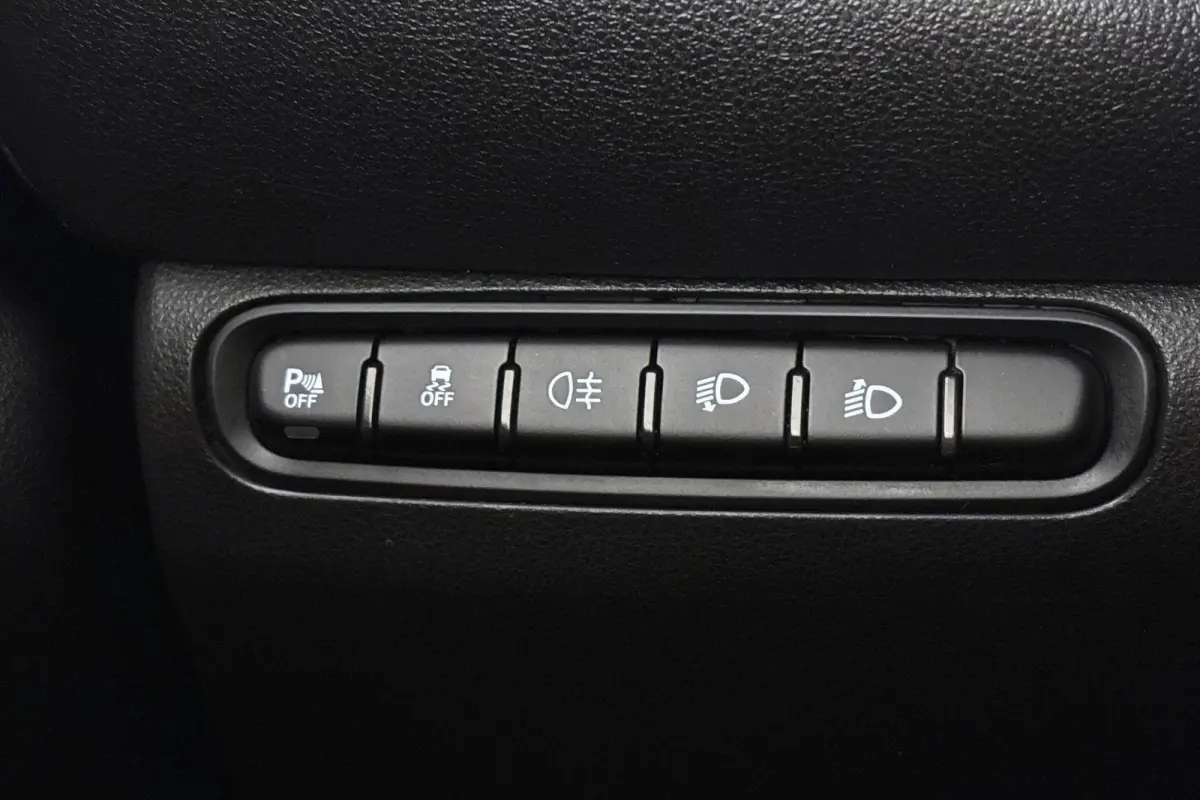 3+1 Icon 42 kWh SOH 97% Achteruitrijcamera Apple CarPlay Stoelverwarming