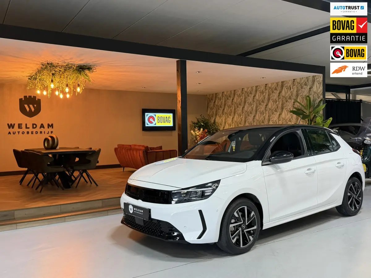 1.2 Turbo Hybrid GS Camera Xenon Stuurverwarming Carplay Garantie