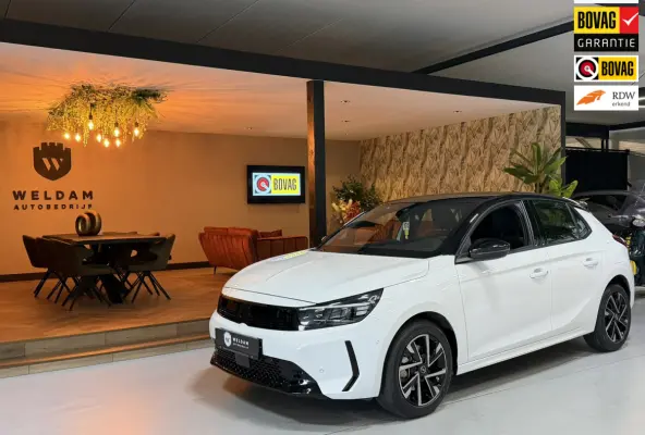 1.2 Turbo Hybrid GS Camera Xenon Stuurverwarming Carplay Garantie