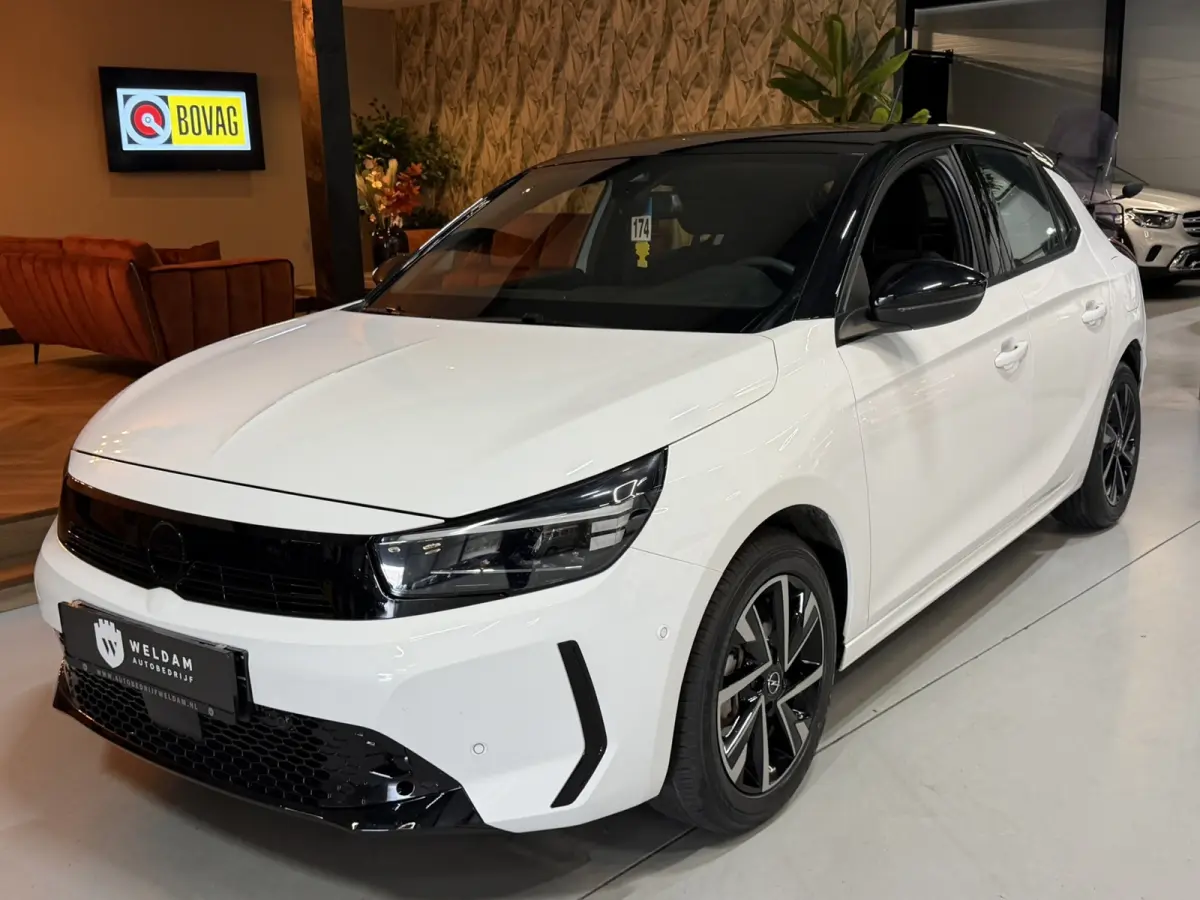 1.2 Turbo Hybrid GS Camera Xenon Stuurverwarming Carplay Garantie