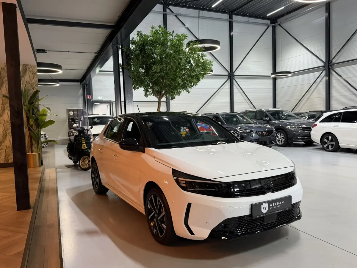 1.2 Turbo Hybrid GS Camera Xenon Stuurverwarming Carplay Garantie