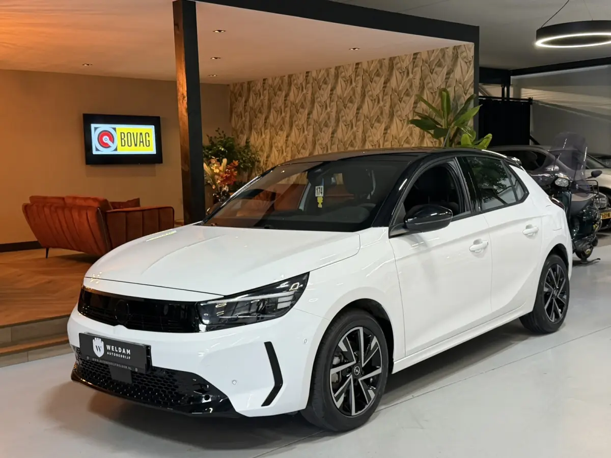 1.2 Turbo Hybrid GS Camera Xenon Stuurverwarming Carplay Garantie
