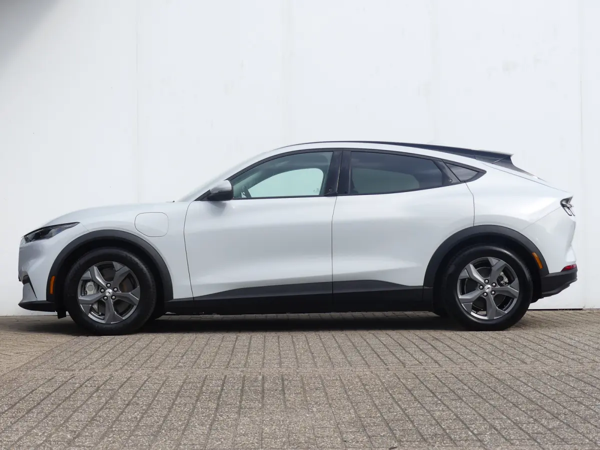 Extended RWD 98 kWh | SOH 94% | ADAPTIVE CRUISE | DODEHOEKDETECTIE | CAMERA | STUUR+STOEL+VOORRUITVERWARMING | PARKEERSENSOREN V+A | NAVI | APPLE CARPLAY / ANDROID AUTO | LMV 18" |