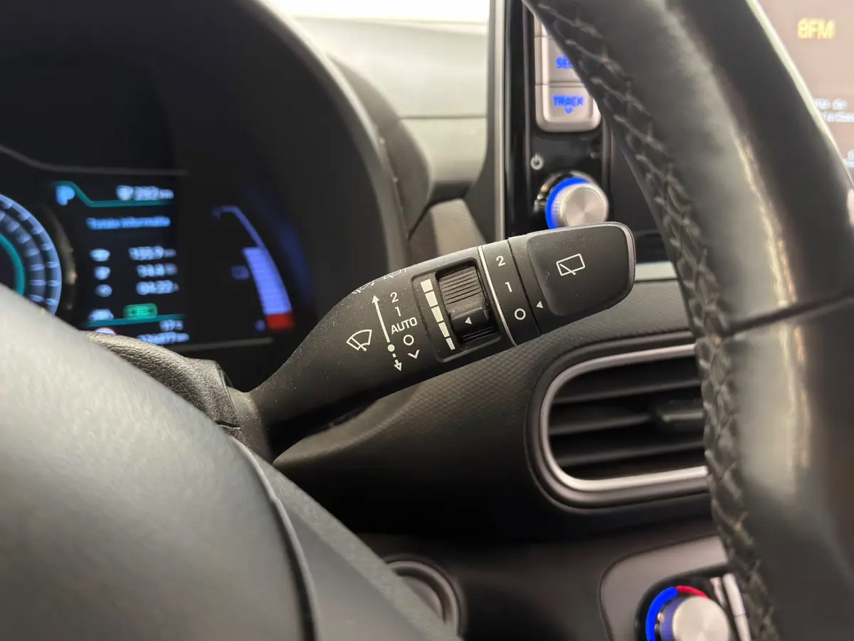 EV Premium 64 kWh / HUD / Camera / 2e eig. / NL-auto