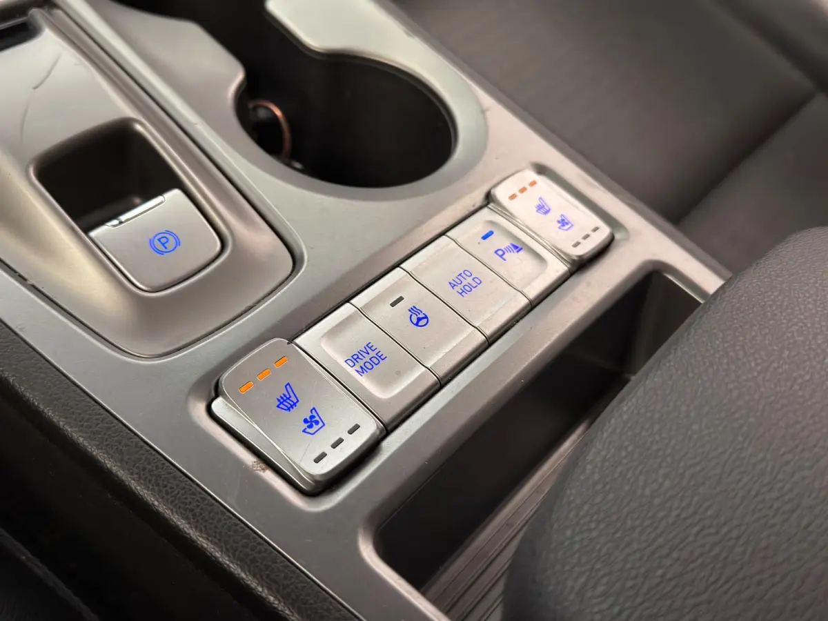 EV Premium 64 kWh / HUD / Camera / 2e eig. / NL-auto
