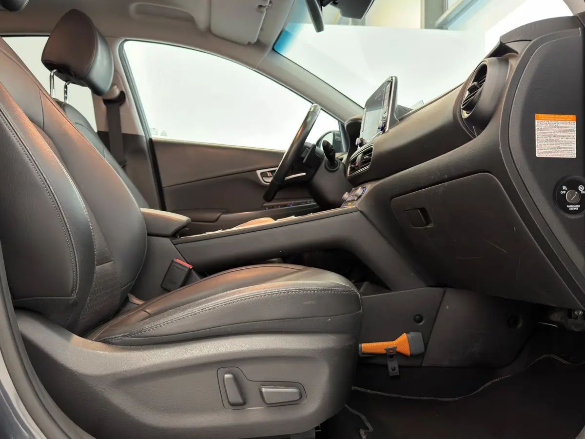 EV Premium 64 kWh / HUD / Camera / 2e eig. / NL-auto