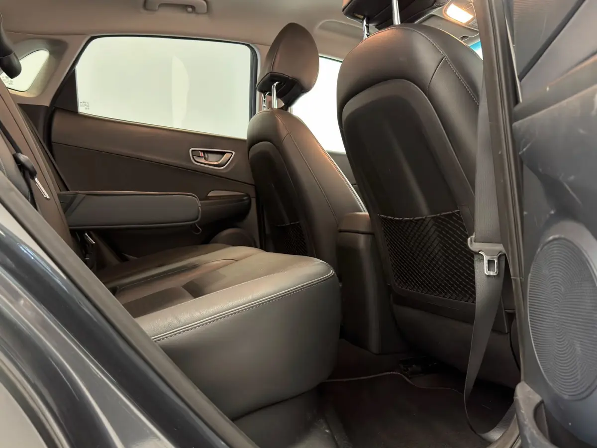 EV Premium 64 kWh / HUD / Camera / 2e eig. / NL-auto