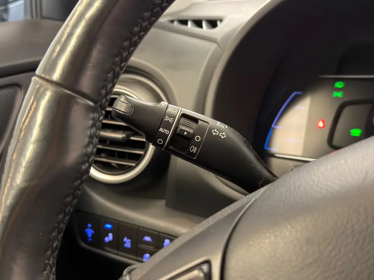 EV Premium 64 kWh / HUD / Camera / 2e eig. / NL-auto
