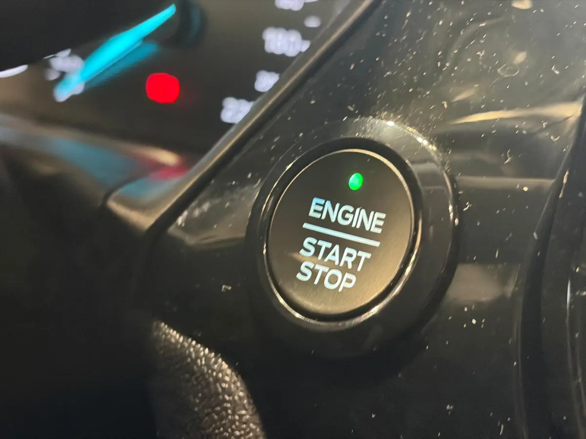 1.0 EcoBoost Titanium Camera | Airco | Cruise control adaptief