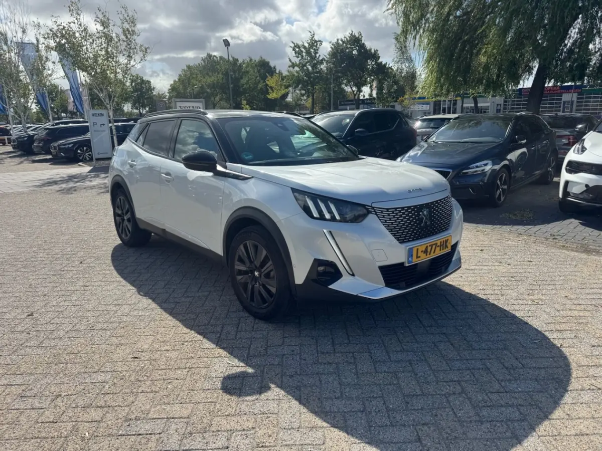 EV GT 50 kWh Alcantara/Leer | 18" Lichtmetaal | Stoelverwarming | LED | Adpatieve Cruise | Climate | Camera | Achteruitrijcamera | Afwijkende dakkleur | Airco (automatisch)