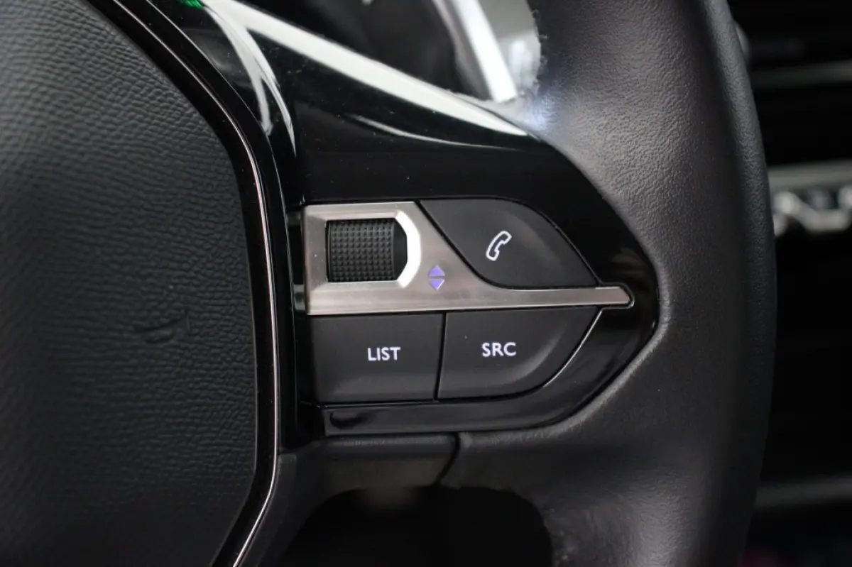1.2 PureTech Active Automaat - Carplay, Cruise