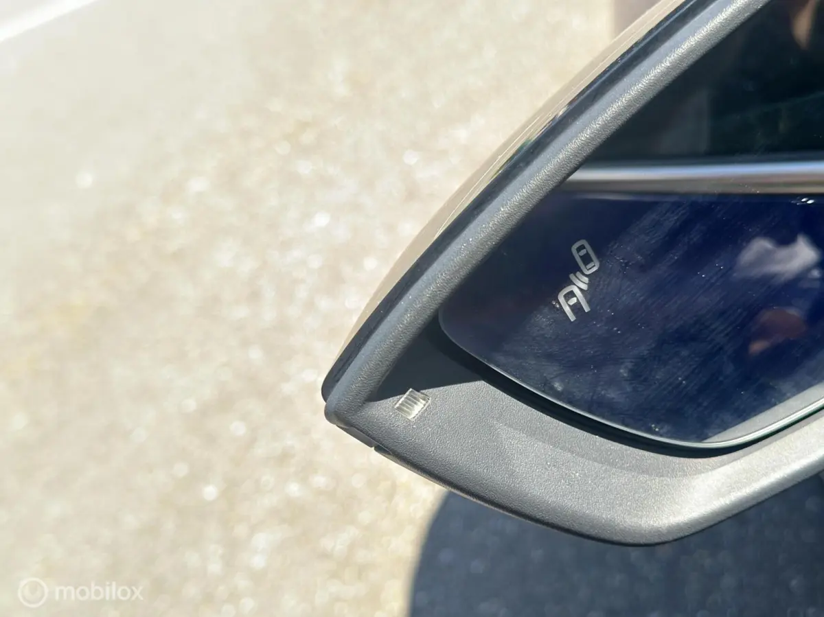 1.0 TSI FR Business Intense Plus | Carplay | Camera | Trekhaak