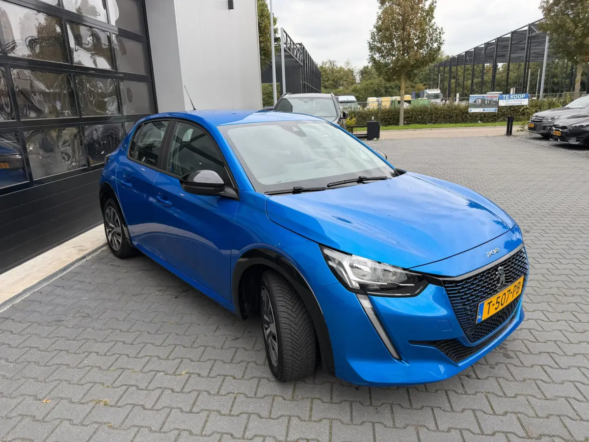 EV Active Pack 50 kWh SOH 96% 1 ste eigenaar