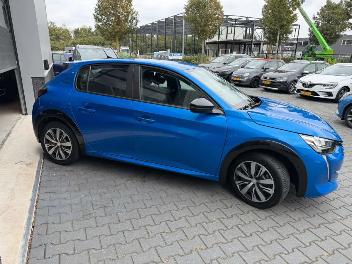 EV Active Pack 50 kWh SOH 96% 1 ste eigenaar