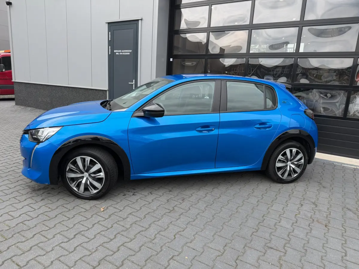 EV Active Pack 50 kWh SOH 96% 1 ste eigenaar