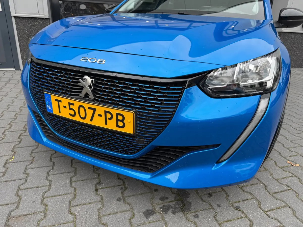 EV Active Pack 50 kWh SOH 96% 1 ste eigenaar